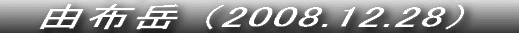 NŌ̓o[߂ł