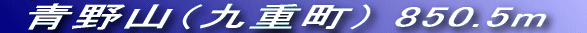 Rт͑BVC̗ǂ͋Cǂ`