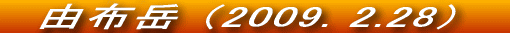 NŌ̓o[߂ł