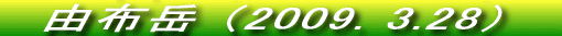 t̑܂