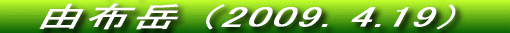 RTԂłR͏ťiFł