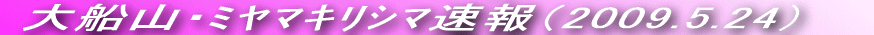 UṼ~}LV}ł