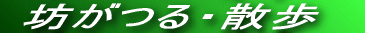 ̂тԂ𒭂߂Ȃڂ܂ŎUĂ܂