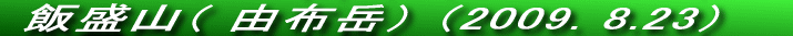 Rzx̌̎Op̐Rł