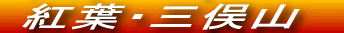 OR̍gt̑𒭂߂Ă܂