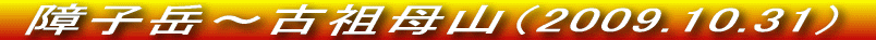 cH̍gt͏IłJ̍gtYII