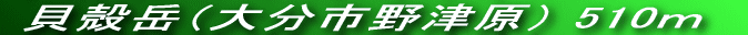 LV^̎R`
