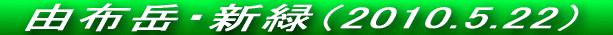 VC\Ƃ͈ႢǂVCł