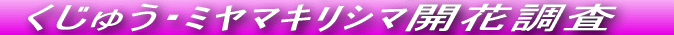 ˂JԒł
