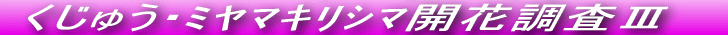 Ăѕ˂JԒł