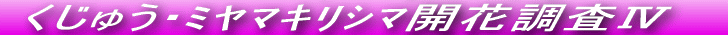 Ăѕ˂JԒł