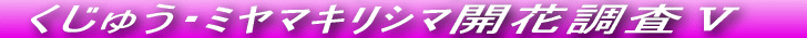 Ăѕ˂JԒł
