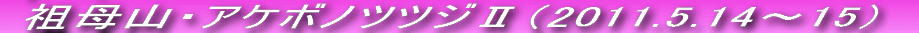 NXgył`