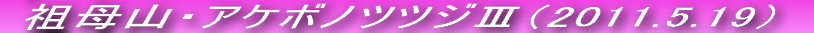 NXgył`