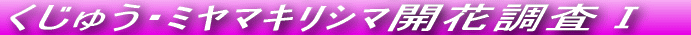 Ăѕ˂JԒł