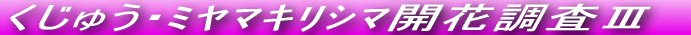 Ăѕ˂JԒł