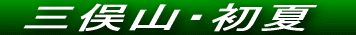 Ăѕ˂JԒł