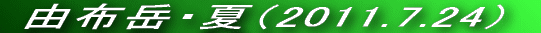 VC\Ƃ͈ႢǂVCł