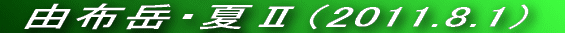 VC\Ƃ͈ႢǂVCł