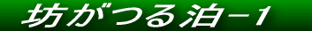 NTl̖Veg̊