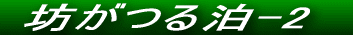 NTl̖Veg̊@̂Q