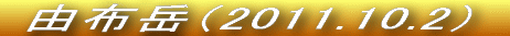 VC\Ƃ͈ႢǂVCł