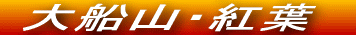 DRłAFςn߂Ă܂Br̎͂͂낻Yɐ܂܂