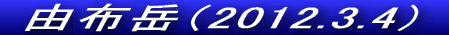 VC\ǂJ~܂