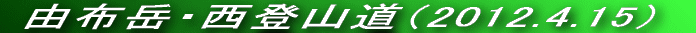VC\Ƃ͈ႢǂVCł