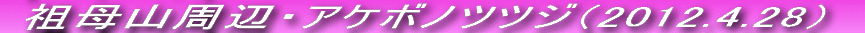 {ɍ炫n߂ł
