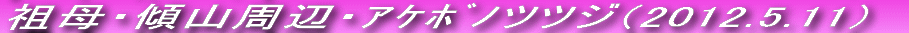 cXRnƈJԒ܂