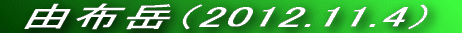 VC\Ƃ͈ႢǂVCł