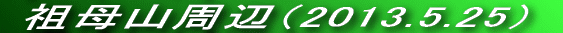 NXgył`