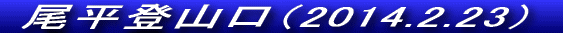 NXgył`