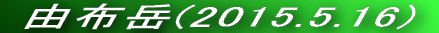  Rzx(2014.12.30) 