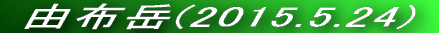  Rzx(2014.12.30) 
