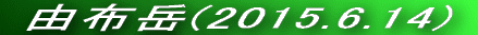  Rzx(2014.12.30) 