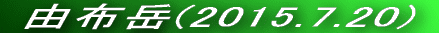  Rzx(2014.12.30) 