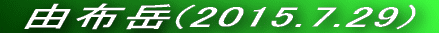  Rzx(2014.12.30) 