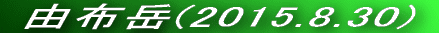  Rzx(2014.12.30) 