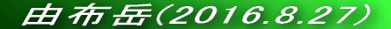  Rzx(2014.12.30) 