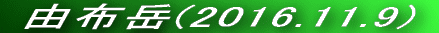  Rzx(2014.12.30) 