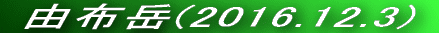  Rzx(2014.12.30) 
