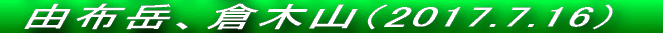  RzxiQOPVDTDQXj