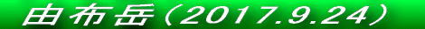  RzxiQOPVDTDQXj