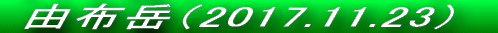  RzxiQOPVDTDQXj