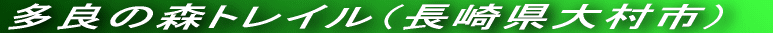 ǂ̐XgCi茧呺sj
