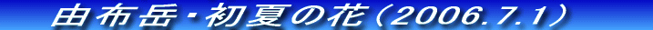 RzxEԂ̍@iQOOUDTDQWj