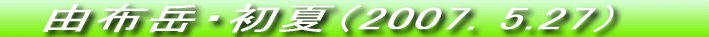 RzxEā@iQOOVDTDQVj