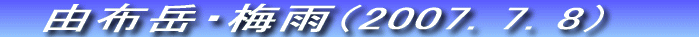 RzxE~J@II}Qƍĉ@2007.7.8